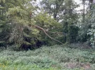 20230804_130327.jpg