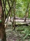 20230804_132058.jpg