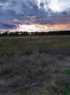 20230806_201752.webp