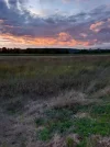 20230806_201756.webp