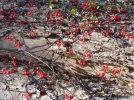 P1010836.webp