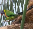 Screenshot_20230811_213720_Video Editor.webp