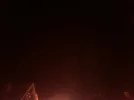 small001585.webp