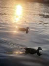 20230816_193530.webp