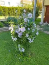 IMG_20230821_120141_HDR.webp
