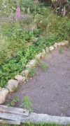 IMG-20200615-WA0010.webp