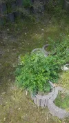 IMG-20200602-WA0005.webp