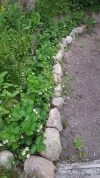 IMG-20200527-WA0000.webp
