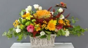 signal-2023-04-03-06-49-55-641.webp