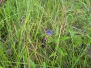 20230729_141313.webp