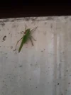 20230822_202158.webp