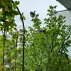 20230828_083657.webp
