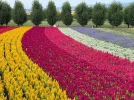 IMG-20230904-WA0026.webp