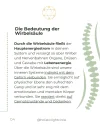 4.webp