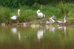 _IMGP9574_cropt.webp