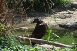 !IMG_6487.webp