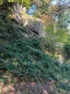 20230910_091725.webp