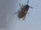 20230910_094530.webp