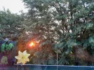 20230831_065641.webp