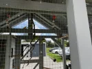 IMG_7656.jpeg