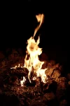 IMG_7658.jpeg