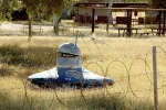 IMG_7665.jpeg