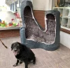 FullSizeRender.webp