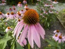 DSCN5892.JPG