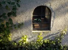 DSCN5993.webp