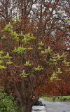 IMG_20230924_130953_HDR~2.webp