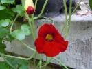 1695750977784.webp