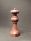 DSCN3333.webp