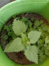 IMG_20230929_083635.webp
