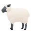 schaf.png