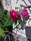 IMG_20231002_132609_HDR.jpg