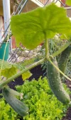 IMG_20231006_181327_HDR~2.webp