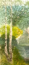 Foto0632(1).webp