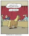 pony.webp
