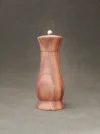 DSCN3345.webp