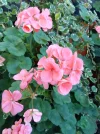 IMG_20231016_105223_HDR.webp