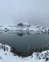 IMG_2180.jpeg