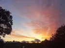 20231019_072624.webp