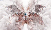 1698083354159.webp