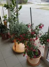 IMG_20231024_103617_HDR.webp