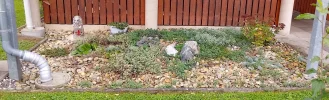IMG_20231024_104011_HDR.webp