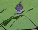 20231020_091754.webp