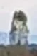 IMG-20231027-WA0005 - Kopie.webp