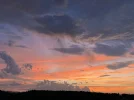 IMG_1556.jpeg