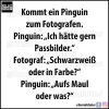 1698922594496.webp