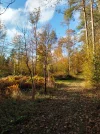 IMG_20231104_143646_HDR.webp